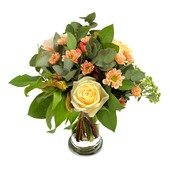Blushing Blooms
