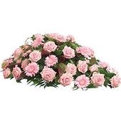 Graceful Tribute