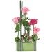 Fancy Arrangement in a Pot