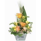 Cloudlet Arrangement