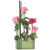 Fancy Arrangement in a Pot