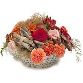 "Cinnamon Melody" Arrangement