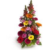 Flower Mountain