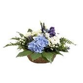 "Forget-me-not" Arrangement