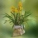 Cymbidium Arrangement