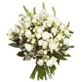 White Elegance