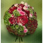 Unarranged of Hydrangea