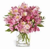 The  Pink Persuasion Bouquet