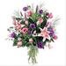 Mixed Cut Flowers
