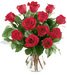 One Dozen Roses Arranged