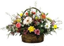 Burst of Spring