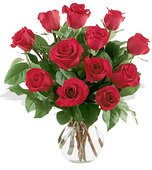 One Dozen Roses Arranged