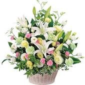 Divinity Arrangement