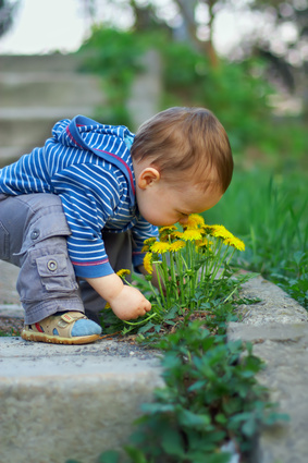toddler smelling flowers