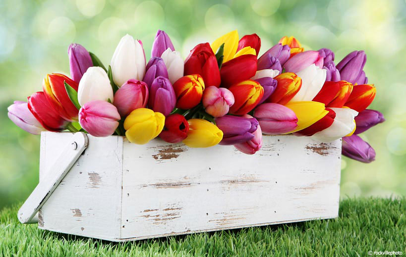 Colorful Tulip Basket