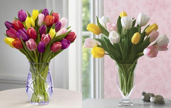 Beautiful Tulip Arrangements