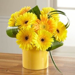 Sunny Surprise Bouquet