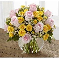 Soft Serenade Rose Bouquet