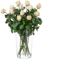 12 White roses