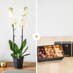 White phalaenopsis orchid with a box of chocolate almonds