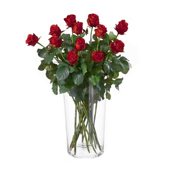 12 red roses without filler