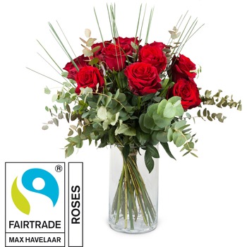 12 Red Fairtrade Max Havelaar-Roses with greenery
