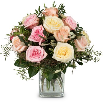 Cordial Rose Greeting (Vase not included)