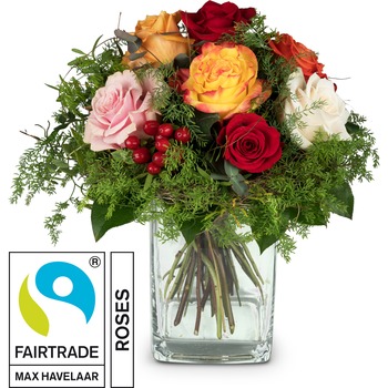 Magic of Roses with Fairtrade Max Havelaar-Roses (Vase not included)
