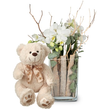 Lifestyle (orchid in a vase) with teddy bear (white)