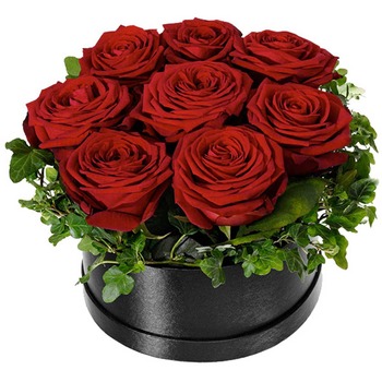 Large Flower Box of Red Roses