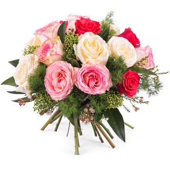 15 Short-stemmed Multicoloured Roses