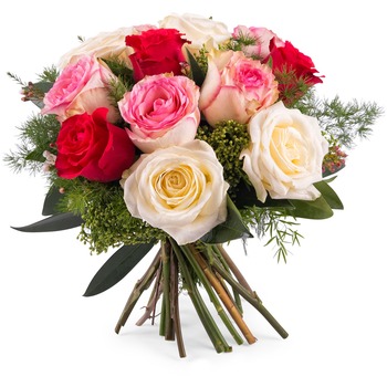 12 Short-stemmed Multicoloured Roses (Vase not included)