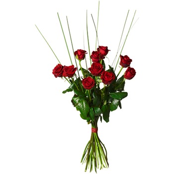 Bouquet with 10 red roses (Vase not included)
