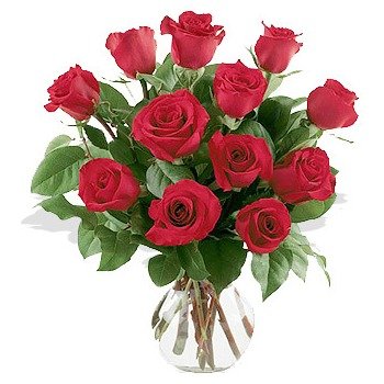 One Dozen Red Roses Arranged in Vase