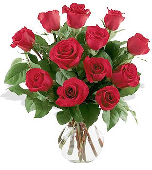 One Dozen Red Roses Arranged in Vase